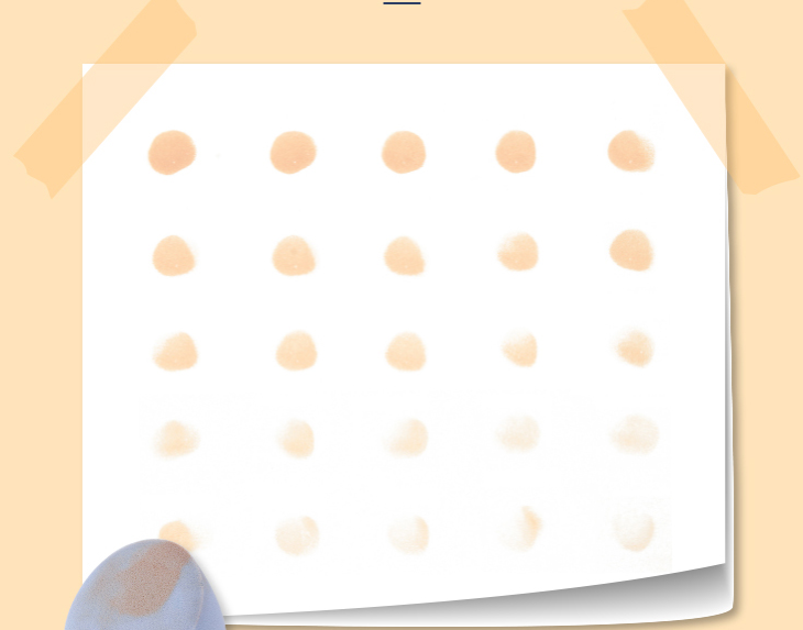 Beauty Egg Box Storage Box Elegant Makeup