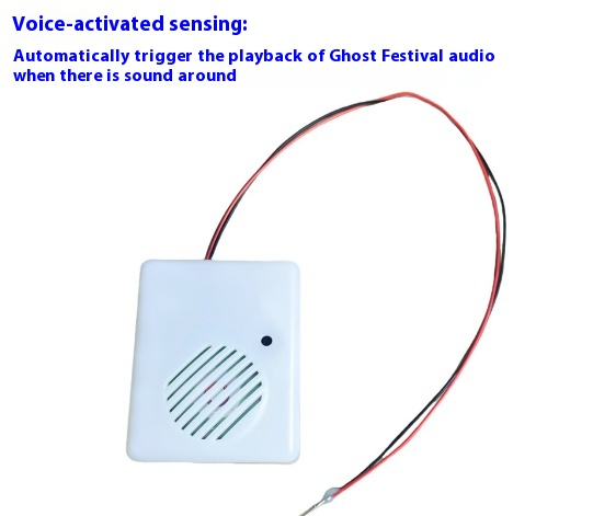 Halloween Ghost Name Sound Emitting Box