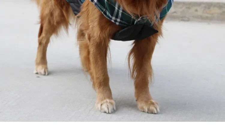 Pet Clothes Medium Dog Cotton Vest