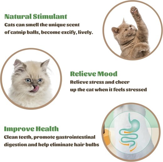Catnip Wall Ball Piece Cat Toys Edible Cat Licking Toy Cat Chew Toy Teeth Cleaning Cat Bite Toy Rotatable Indoor Cat Toy Cat Wall Decoration