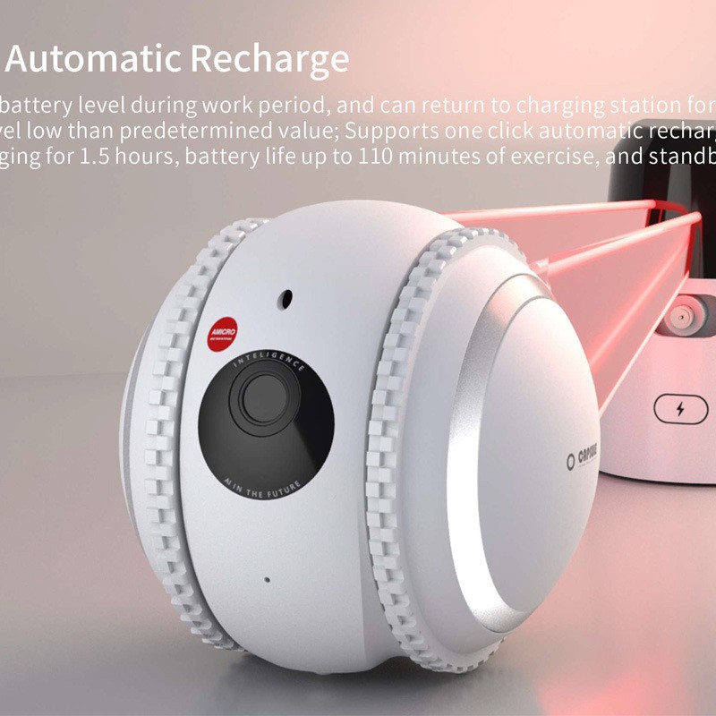 Pet Companion Robot Cat Monitoring