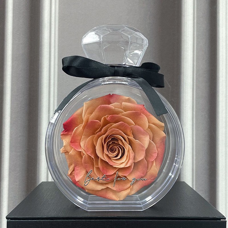 Eternal Flower Ornaments Transparent Cover Dried Rose Gift Box For Christmas New Year Valentine's Day