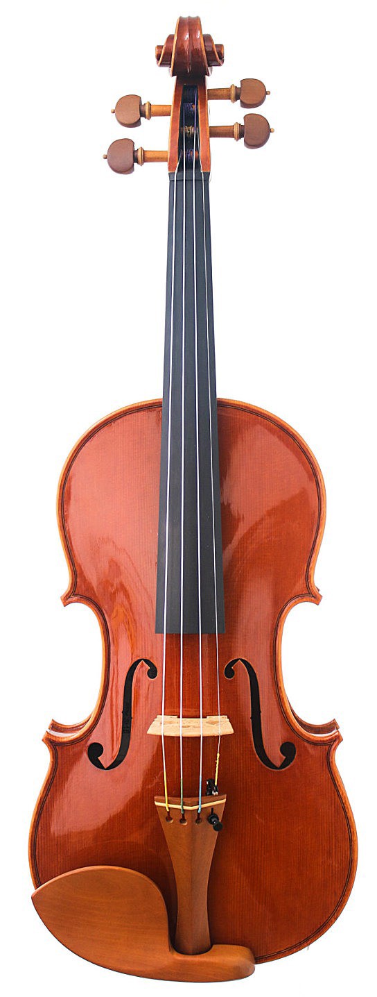 Violin Brown Color VBC112