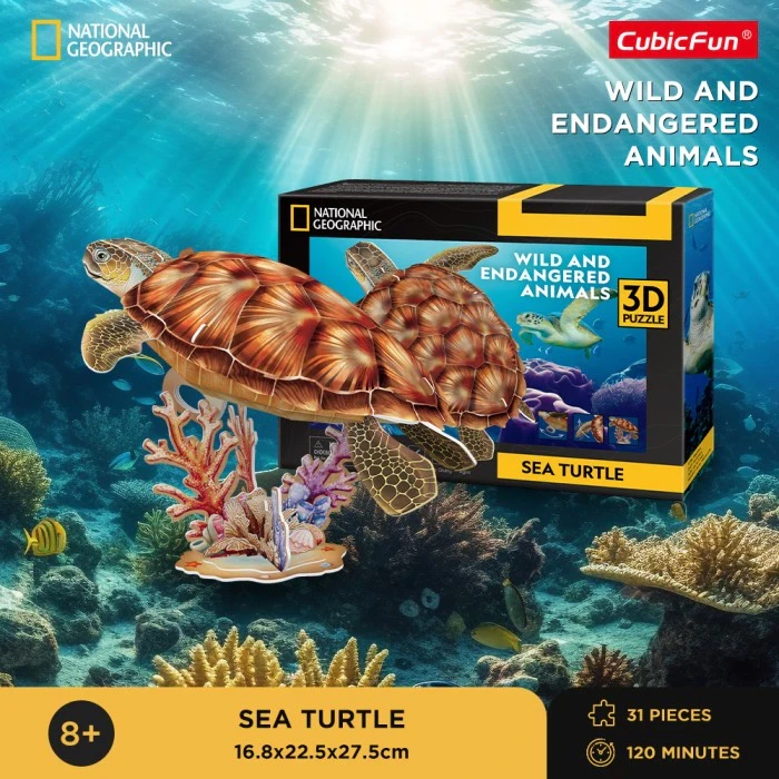 National Geographic Sea Turtle - 3D Puzzle