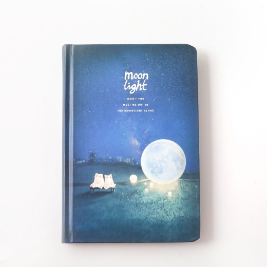 Lunar night hardcover diary book