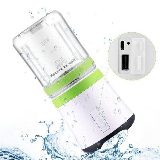 Portable Mini Juicer