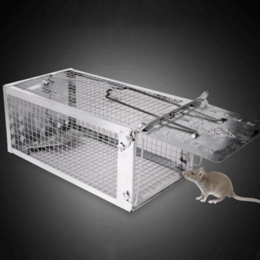 Mouse trap, mouse trap, artifact, clip, indoor