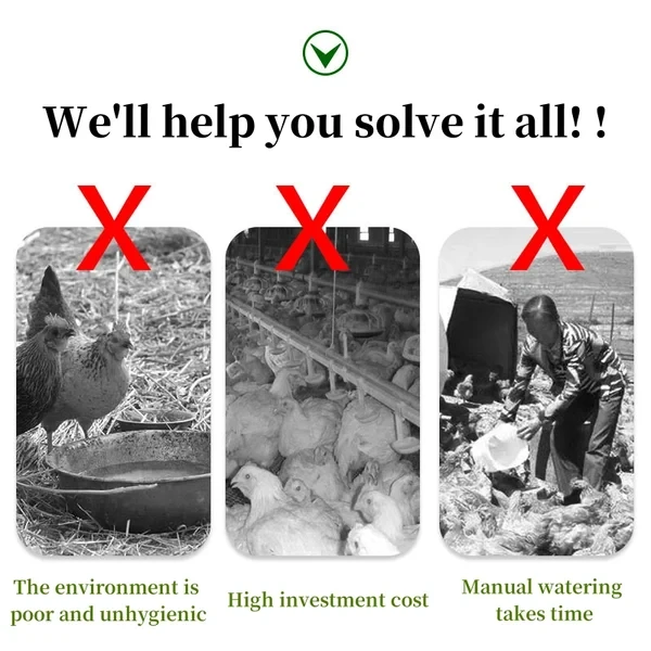 Chicken Poultry automatic waterer