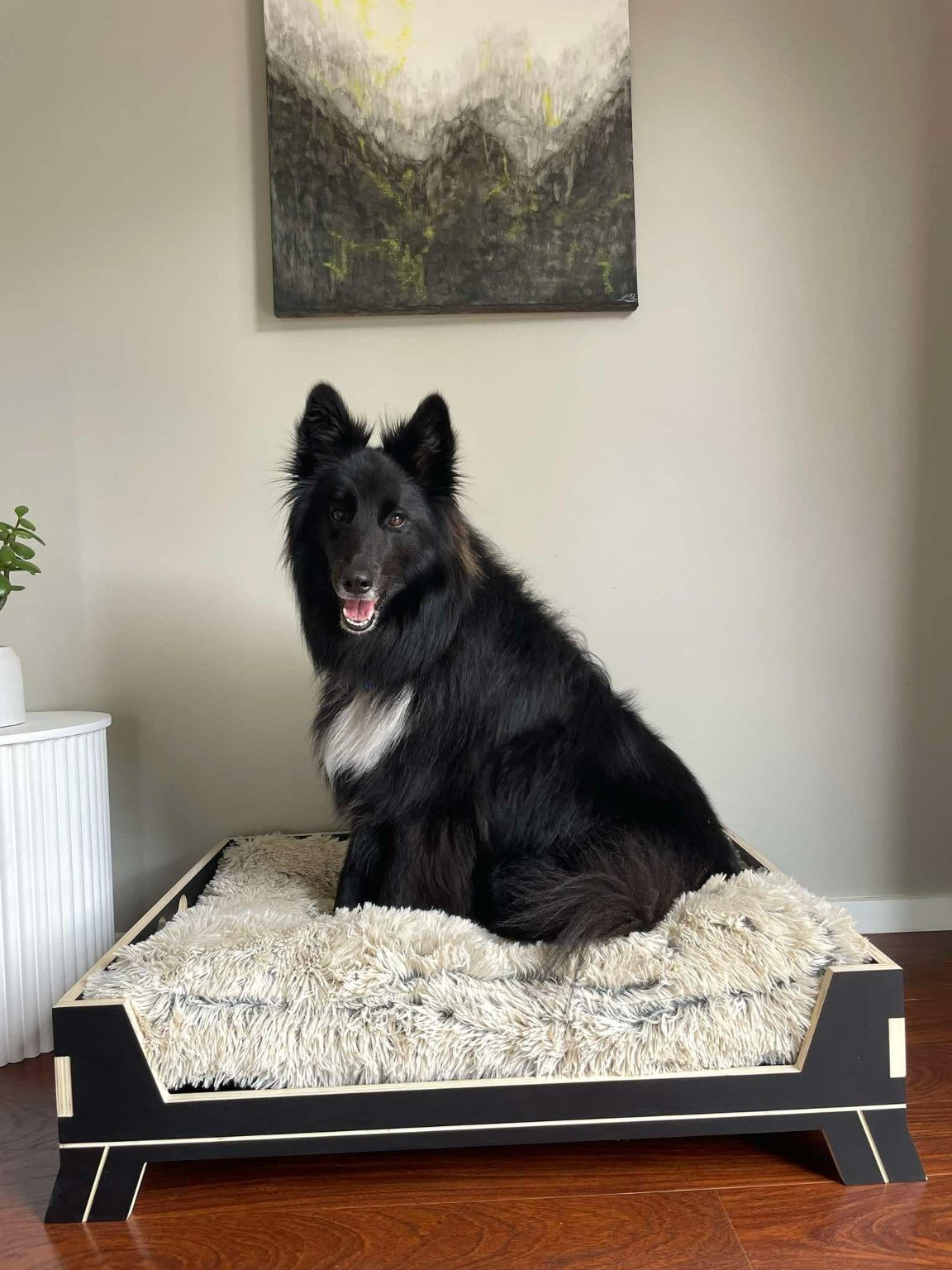 Luxury Dog bed with frame