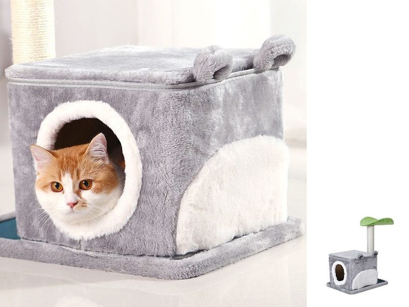 Cat Kitten Tree Scratching Post Climbing Activity