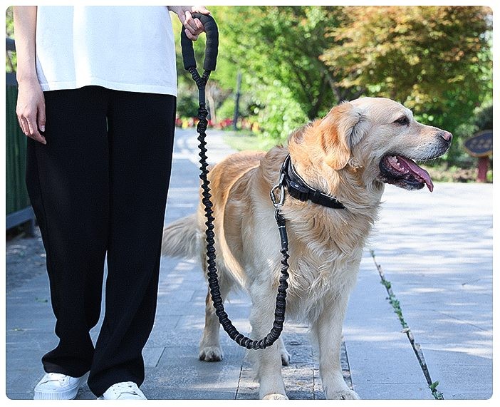 Dog Leash Heavy Duty Shock Absorbing Bungee with Handle