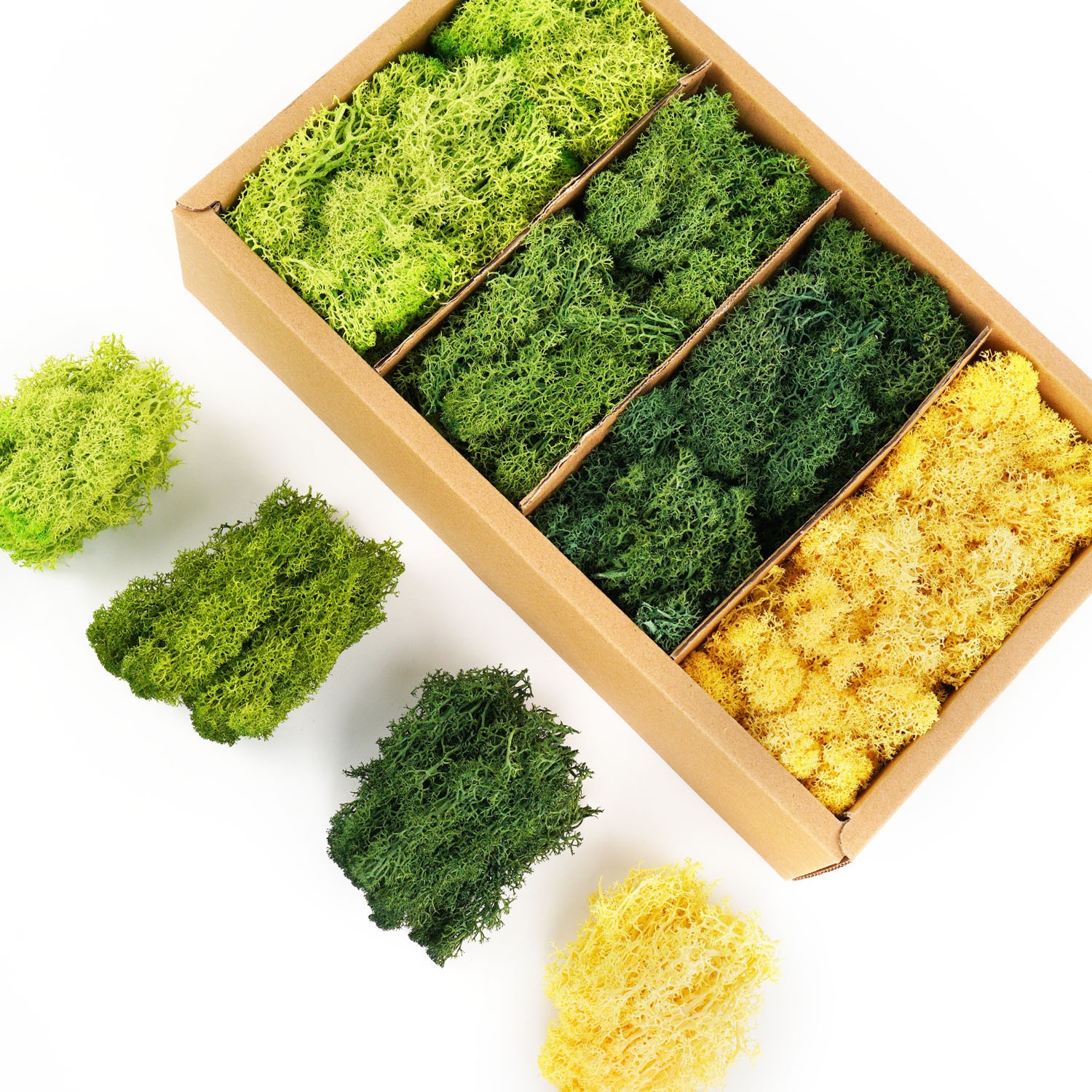 Artificial Green Plants Eternal Life Moss