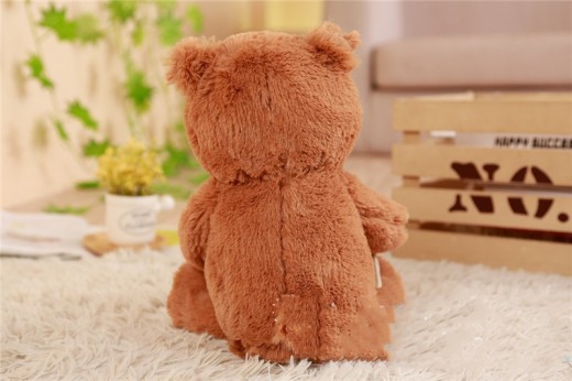 Intelligent Interactive Children's Toy Birthday Gift