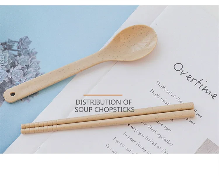 Double-Layer Square Wheat Straw Lunch Box