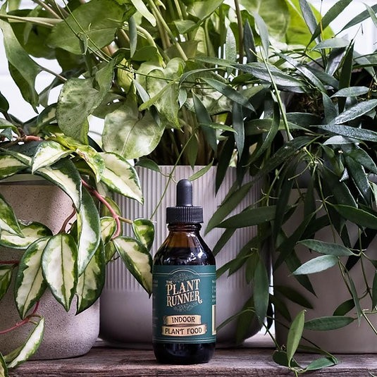 Plant Runner - Indoor Plant Food