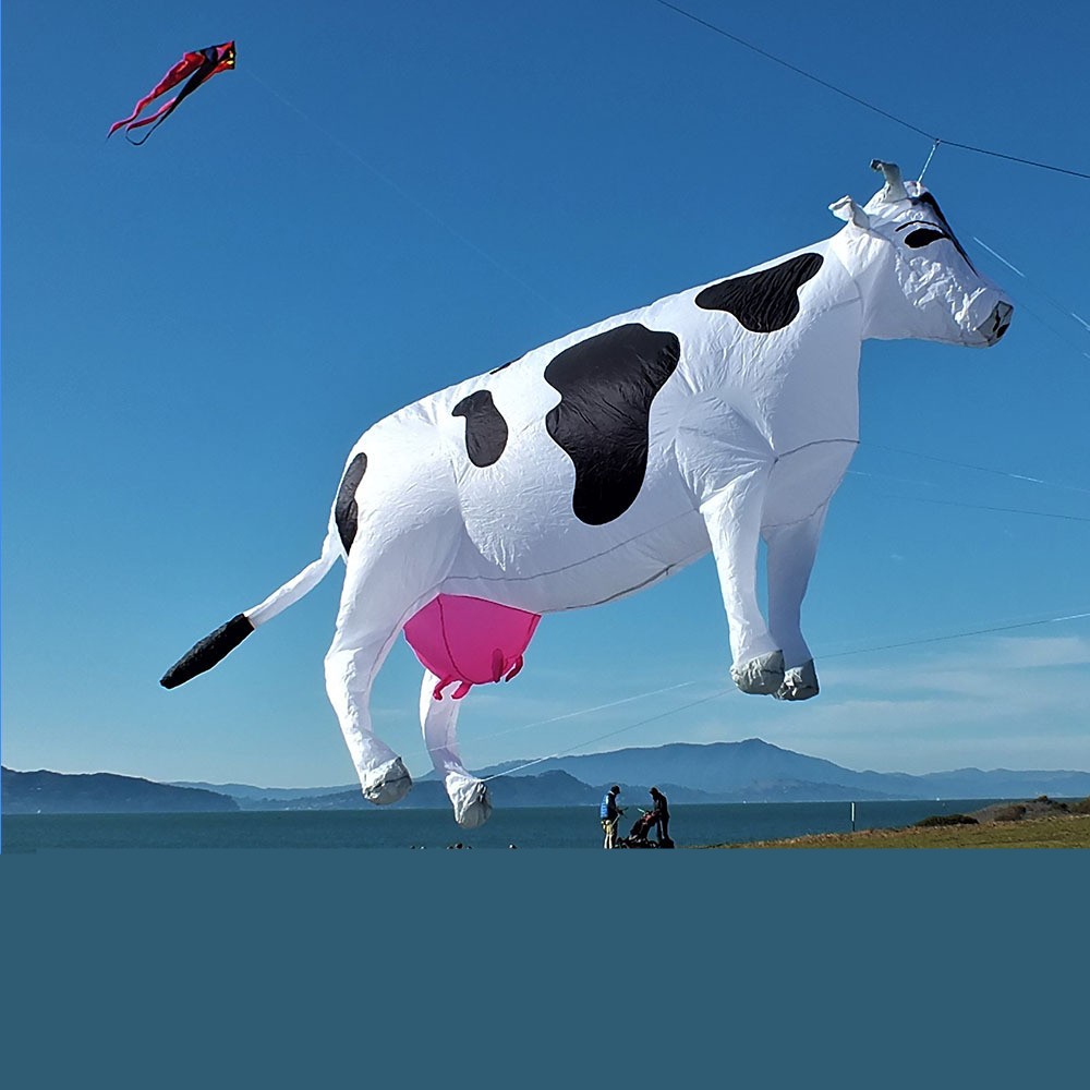 Daisy Cow: Soft, Three Meters with Pink tits