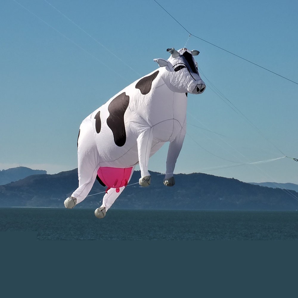Daisy Cow: Soft, Three Meters with Pink tits