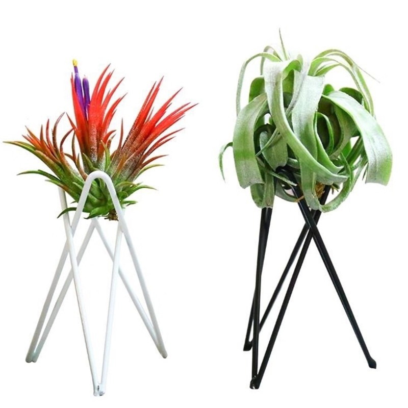 Nordic Style Air Plant Holder  Metal Flower Pot Stand, Geometric Iron Tillandsia Holder, Art Display for Home & Garden