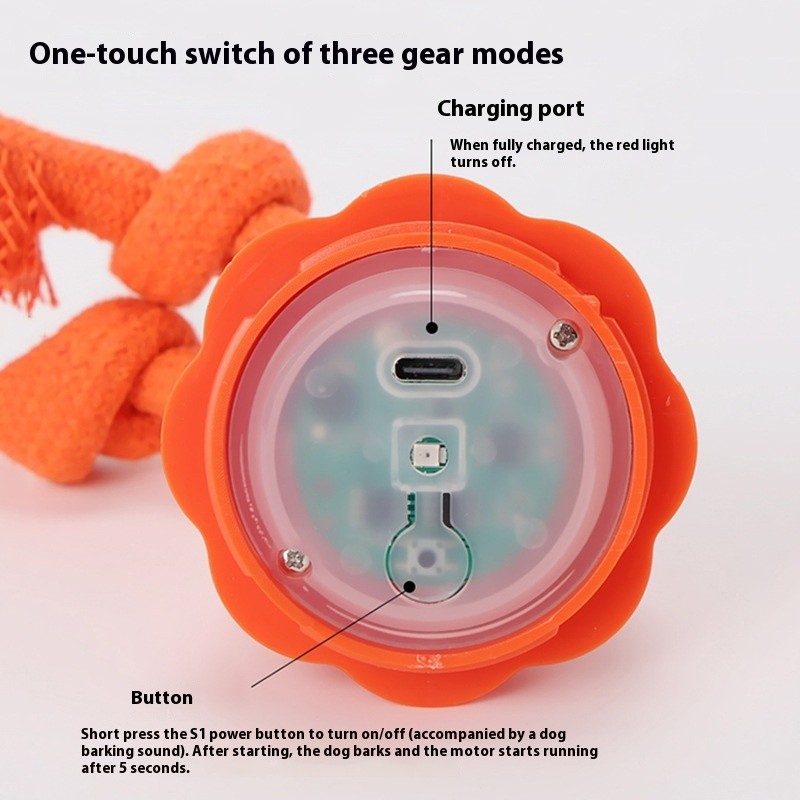 Outdoor Training Automatic Dog Ball Sound