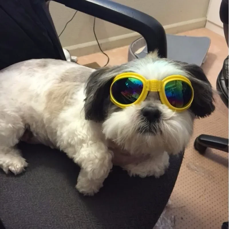 Dog Sunglasses Foldable