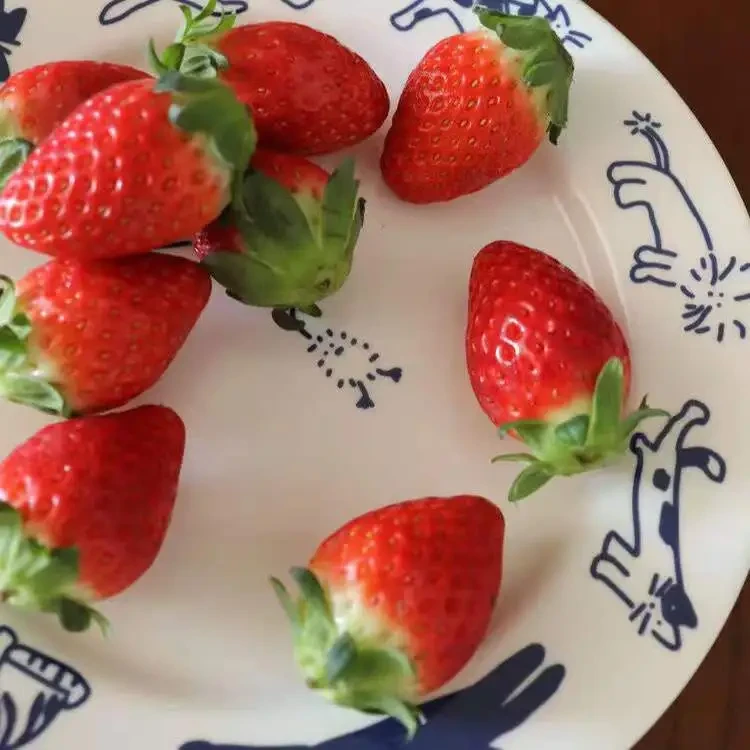 Ins Retro Kitten Blue Breakfast Ceramic Plate Dessert Plate Western Dinner Plate Lovely Girl Heart French