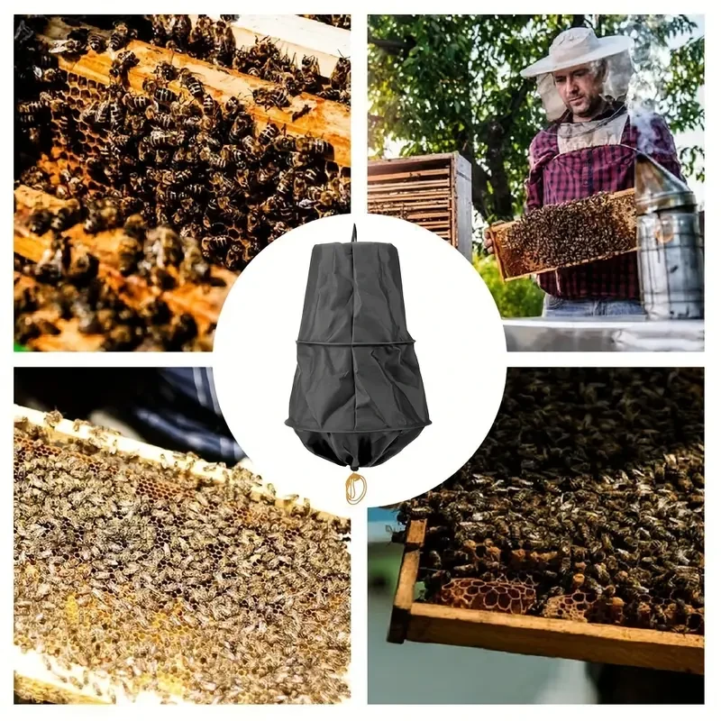 Bee Swarm Trap Catcher