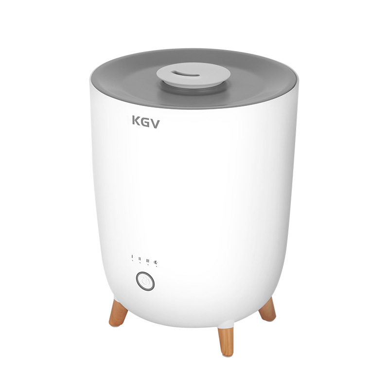 Mute Aroma Diffuser For Pregnant Women's Bedroom With Purifying Humidifier