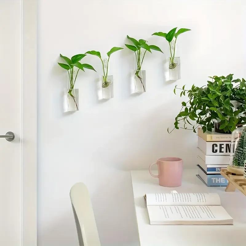 2pcs Cylinder Glass Terrariums for Hydroponic Plants - Wall-Mounted