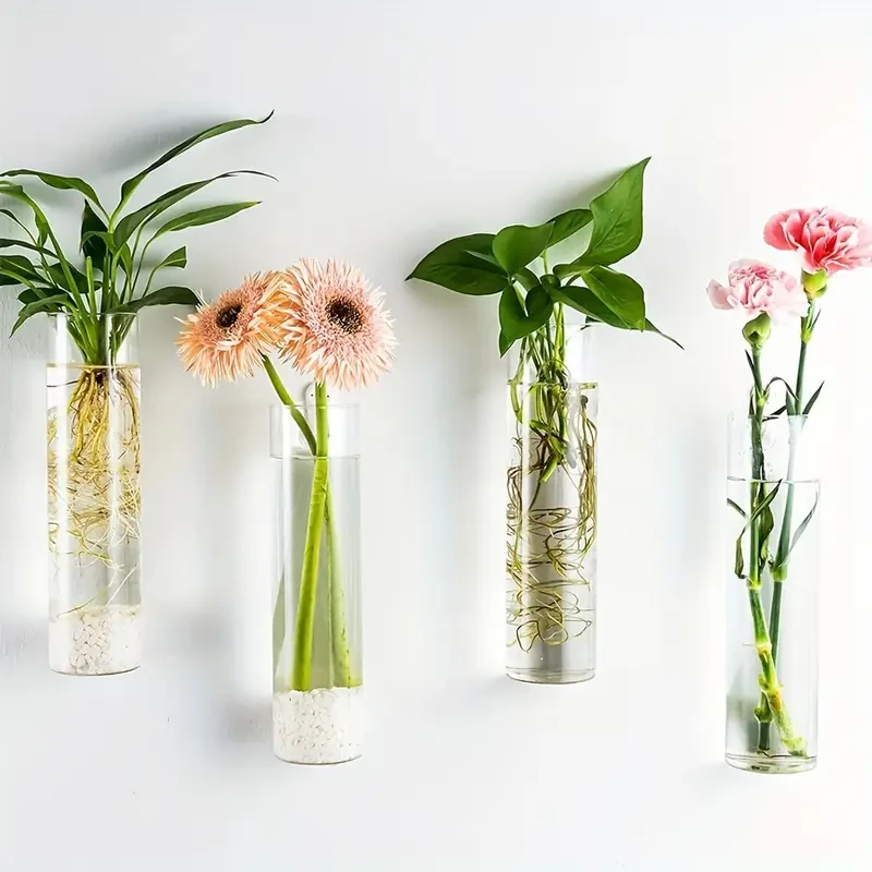 2pcs Cylinder Glass Terrariums for Hydroponic Plants - Wall-Mounted