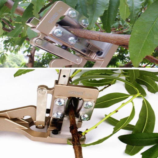 Grafting Tool Pruner Exercent For Branches And Grape Vines