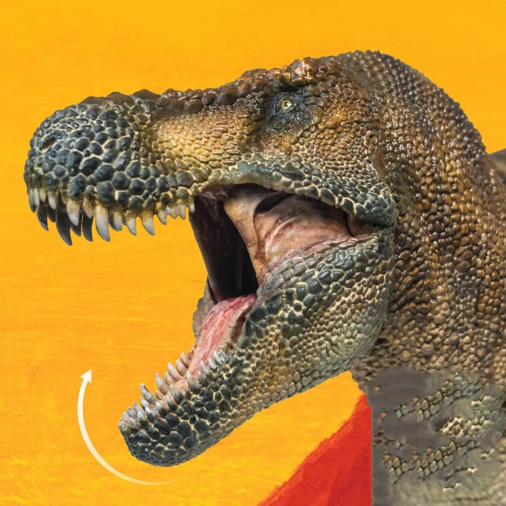 Tyrannosaurus Wilson 1:35 Scientific Art Model