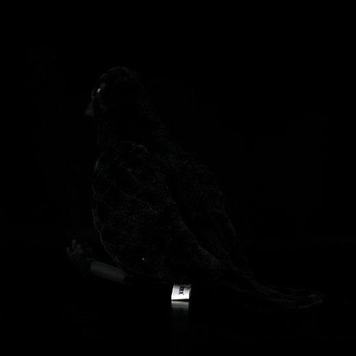 Cute Simulation Big Mouth Crow Plush Toy