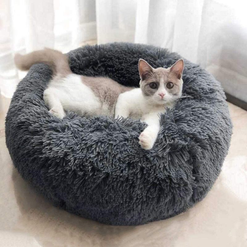 Cat Bed M