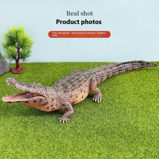 Ancient Animal Prehistoric Solid Animal Model Static Ornaments