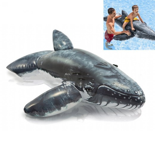 Simulation Whale Shape Children's Mount