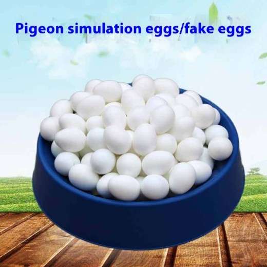 Household Portable Props Solid Pigeon Fake Egg