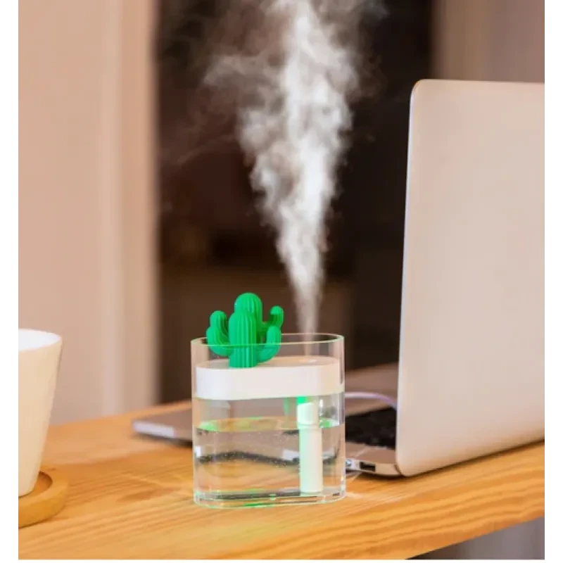 Transparent Landscape Cactus Portable Humidifier