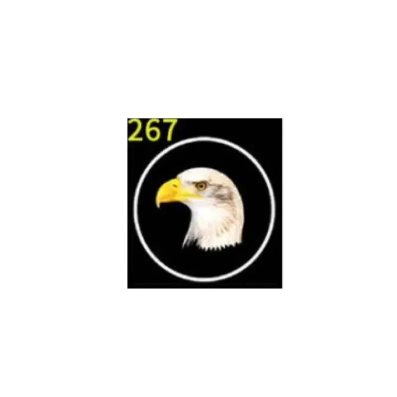 Car HD Rechargeable Wireless Door Welcome Light