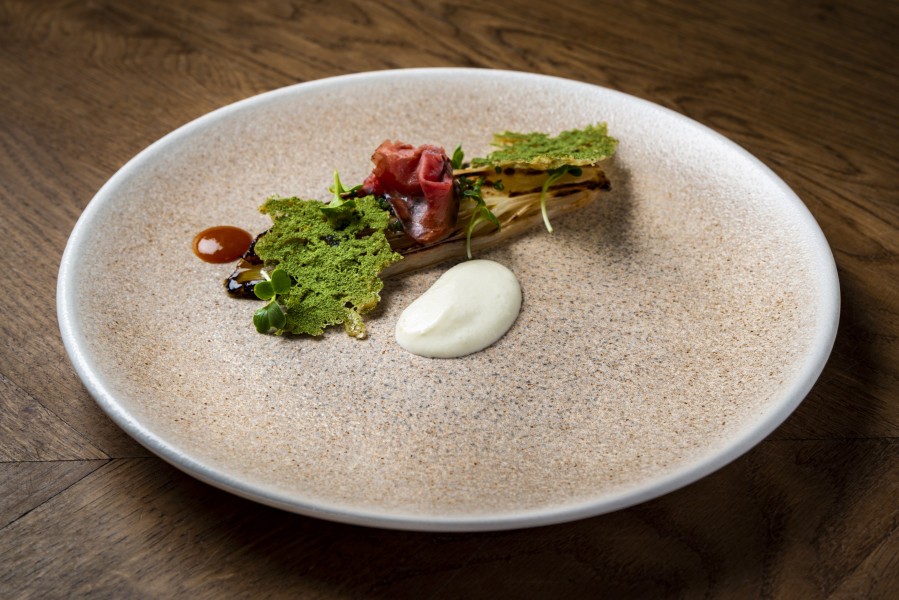 Luca Salmon Plate 270mm - Bonna