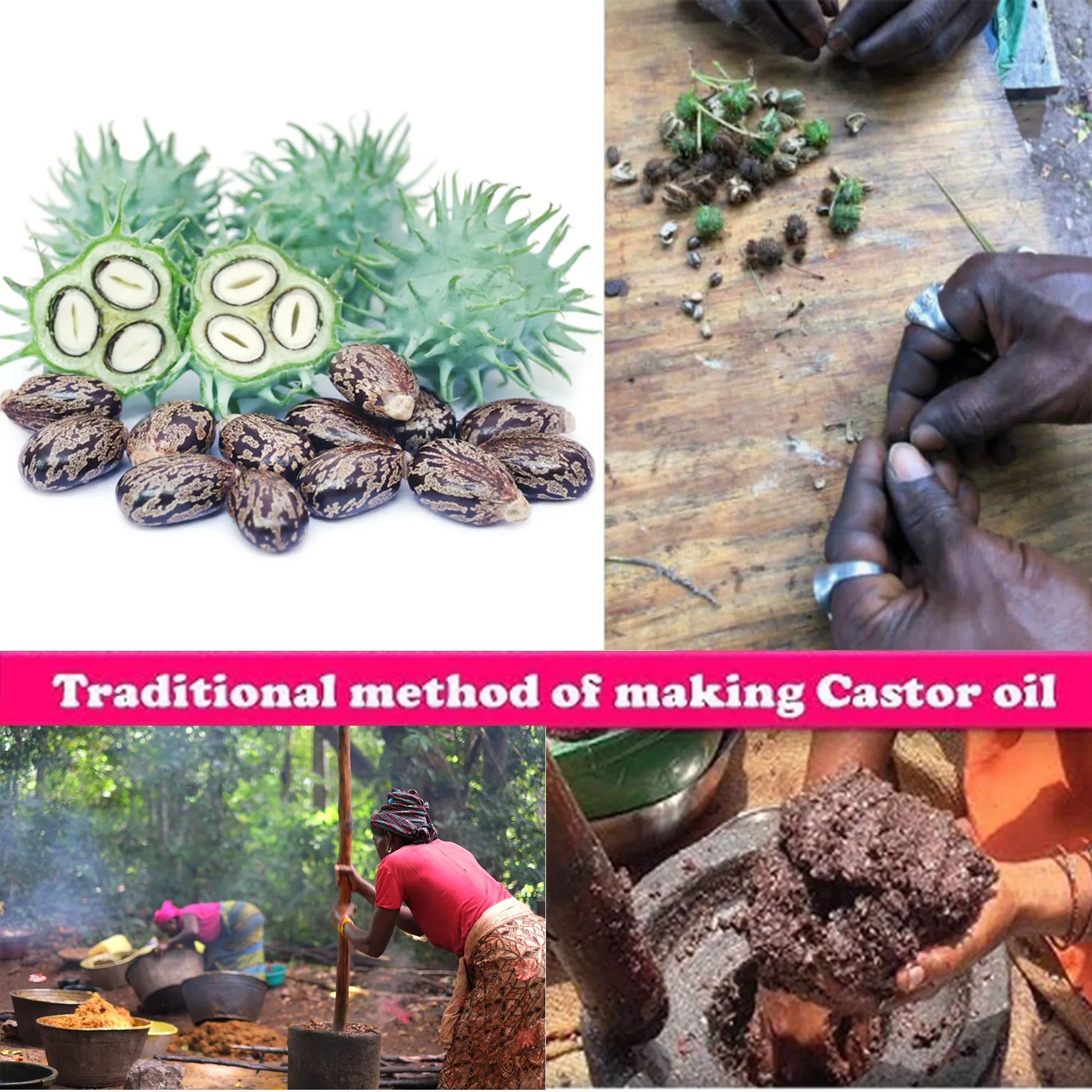 Artisanal African Traditional Layden Nourish Oil 50ml Scalp & Hair Roots Strengthening Moisturizer