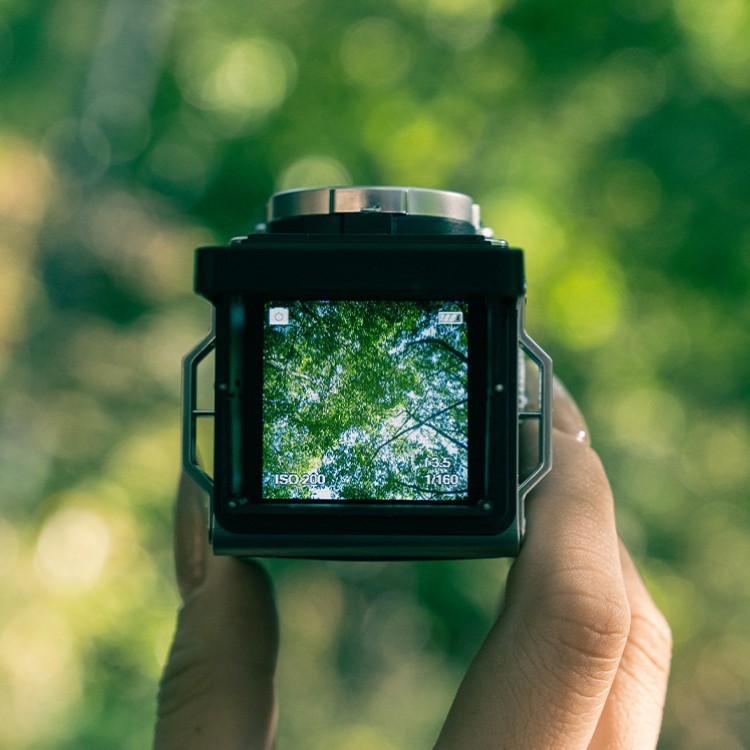 CHUZHAO The Original Digital TLR