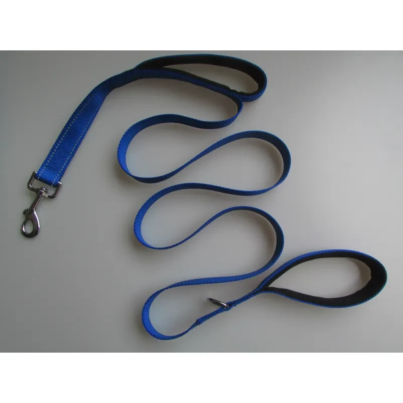 Pet Double Handle Pull Leash