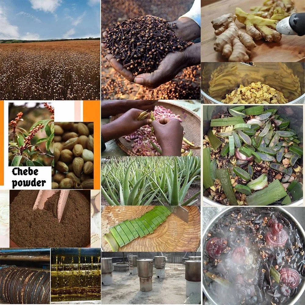 Artisanal Traditional Powerful Hair Nourishing Oil Promoting Long, Natural Hair Growth