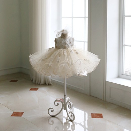 Princess Lace Dress Flower Girl Pettiskirt