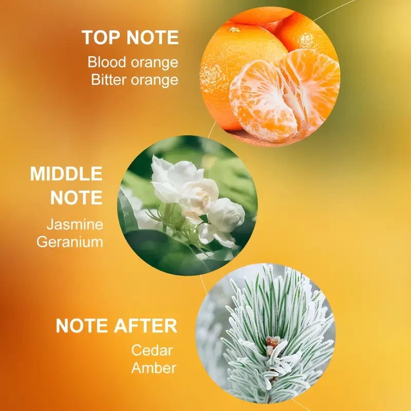 LASTAR 45ml Women's Portable Perfume