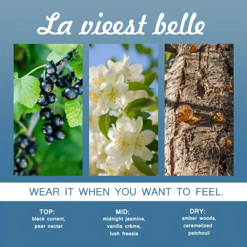 SAMBA PASSION Luxurious Body & Hair Fragrance Mist