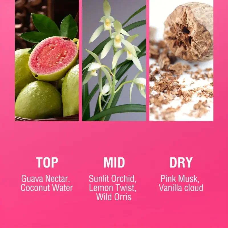 LANIMPRESS Samba Passion Fruity Floral Eau de Toilette