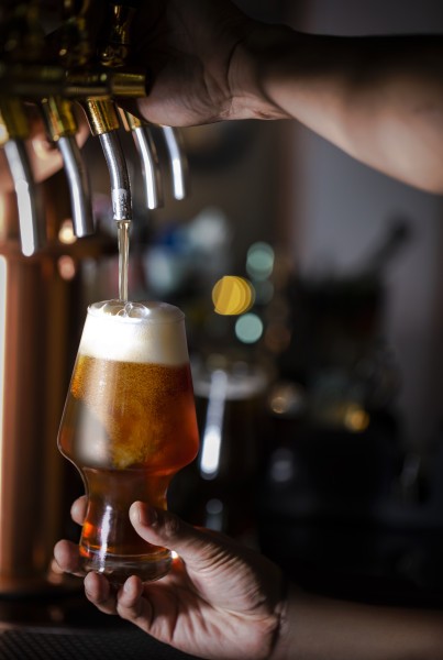 CraftMhan Beer 565ml  - Ocean