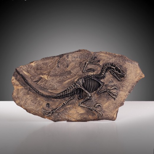 Wall-mounted Resin Skull Decoration Crafts