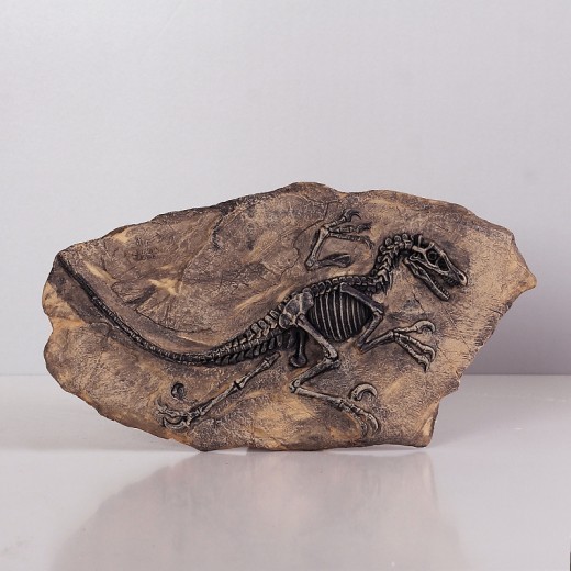 Wall-mounted Resin Skull Decoration Crafts